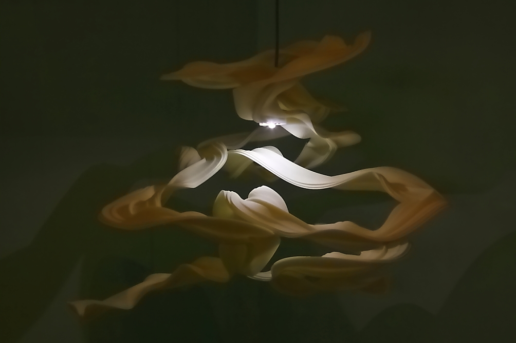2013 08 03 HTP 01298 